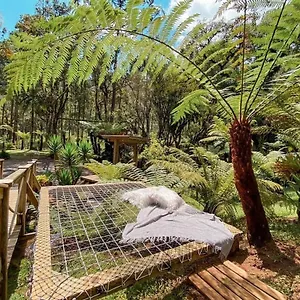 Anjos Da Serra Alojamento de Turismo Selvagem